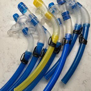 (8) Snorkels Discovery Cove